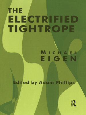 cover image of The Electrified Tightrope